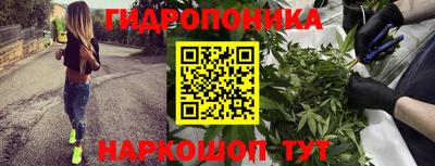 a pvp Бийск