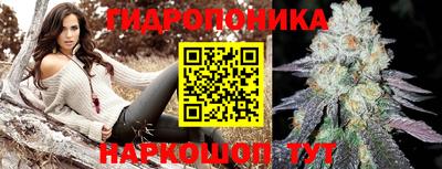 a pvp Бийск