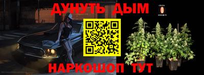 шишки Магадан