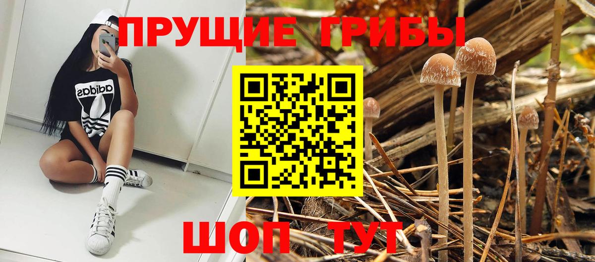 Псилоцибиновые грибы ЛСД  Вход с VPN  Кандалакша 