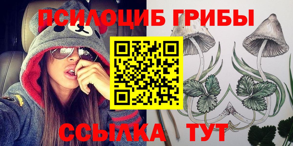 Псилоцибиновые грибы мухоморы Кандалакша